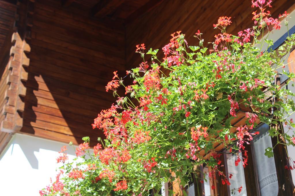 Villa Egle Antronapiana ภายนอก รูปภาพ