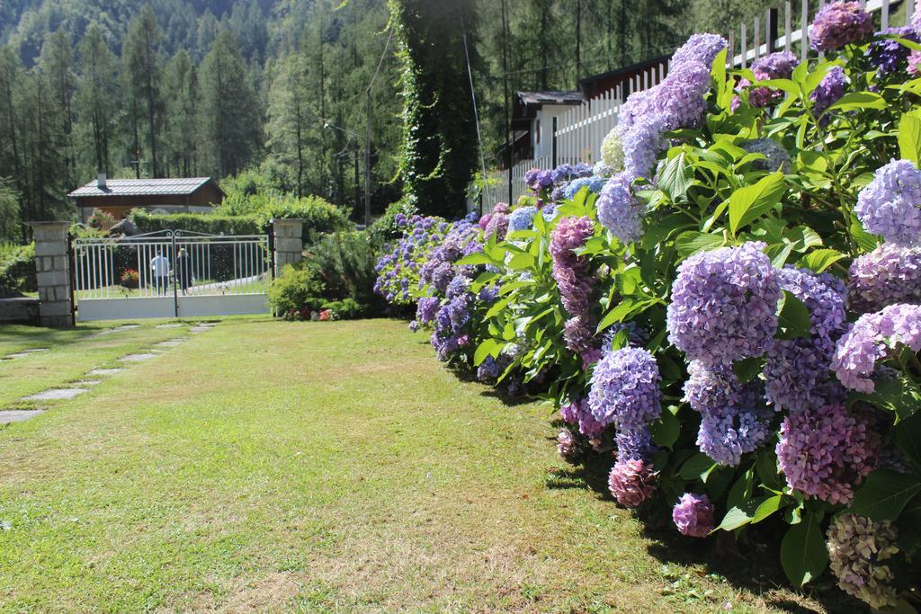 Villa Egle Antronapiana ภายนอก รูปภาพ